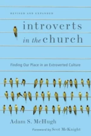Image of Introverts in the church by Adam S McHugh