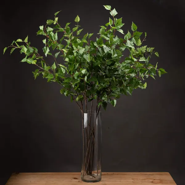 Image of Green Branch Spray