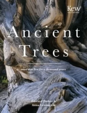 Image of Ancient trees by Anna Lewington