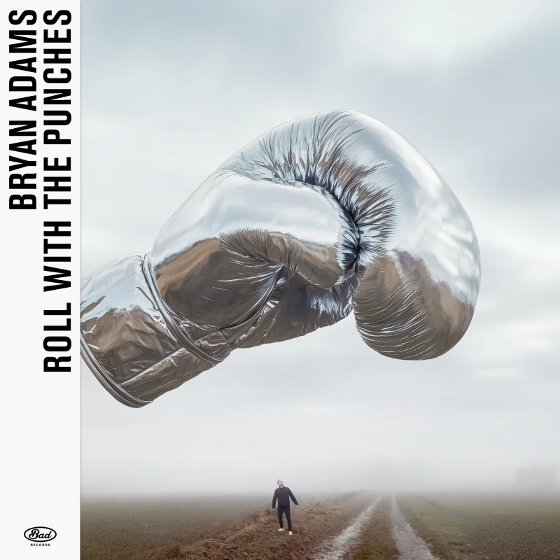 Image of Bryan Adams Roll With the Punches (Vinyl) 12 Album