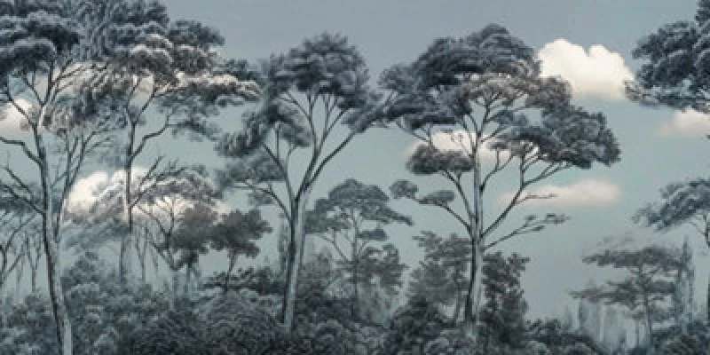 Image of As Creation Skye 2 Digital Mural 500Cm X 250Cm