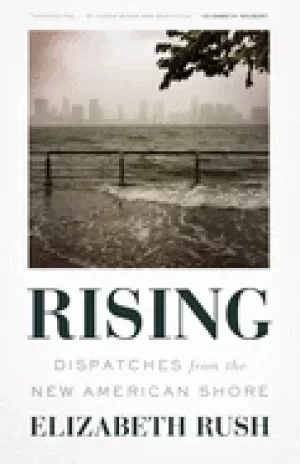 Image of rising dispatches from the new american shore