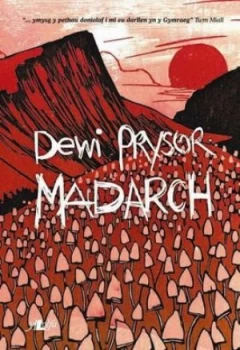 Image of Madarch by Dewi Prysor Book