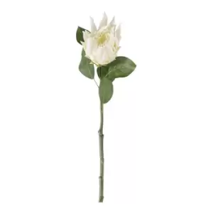 Image of Gallery Interiors Set of 6 Cassius Protea Stem White