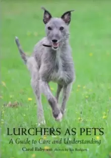 Image of Lurchers as Pets : A Guide to Care and Understanding