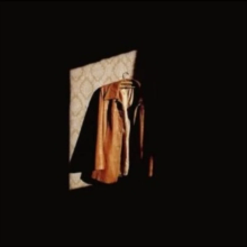 Image of Gone Vinyl