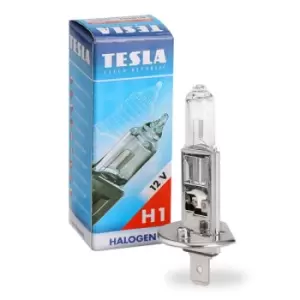 Image of TESLA Light Bulbs VW,AUDI,MERCEDES-BENZ B10101 9947602,07509064001,63217160777 Bulb, spotlight 621698,83931521,7117909,000000000268,Z1719089,2098275