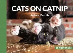Image of cats on catnip 20 postcards