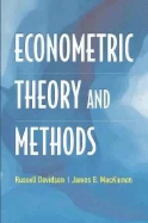 Image of econometric theory and methods