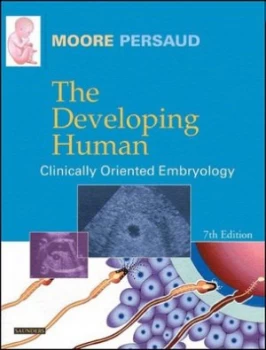 Image of The Developing Human by Keith L Moore Paperback