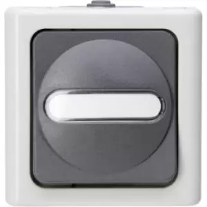 Image of Kopp 560656006 1 Piece Wet room switch product range Complete Circuit breaker, Toggle switch BlueElectric Grey
