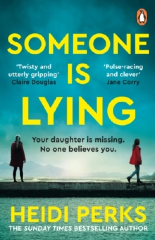 Image of Someone is Lying Paperback / softback
