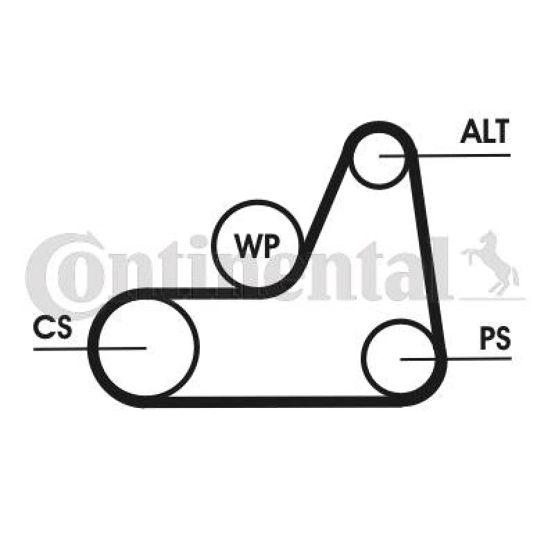 Image of V-Ribbed Belt Set CONTITECH 6PK1042 ELAST T1
