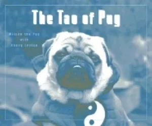Image of tao of pug