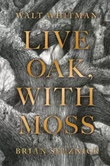 Image of Live Oak, with Moss