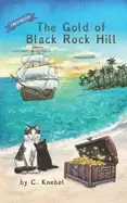 Image of gold of Black rock hill decodable chapter books