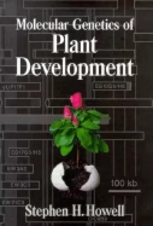 Image of molecular genetics of plant development