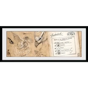 image of Fantastic Beasts Thunderbird Framed Collector Print