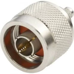 Image of N connector Plug straight 50 Amphenol N1121A1 NT3G 1 50