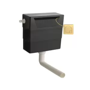 Image of Hudson Reed Universal Access Cistern & Square Brushed Brass Flush Plate
