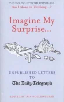 Image of Imagine My Surprise-- by Iain Hollingshead Hardback