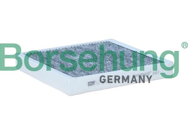 Image of Borsehung Pollen filter Borsehung B18017