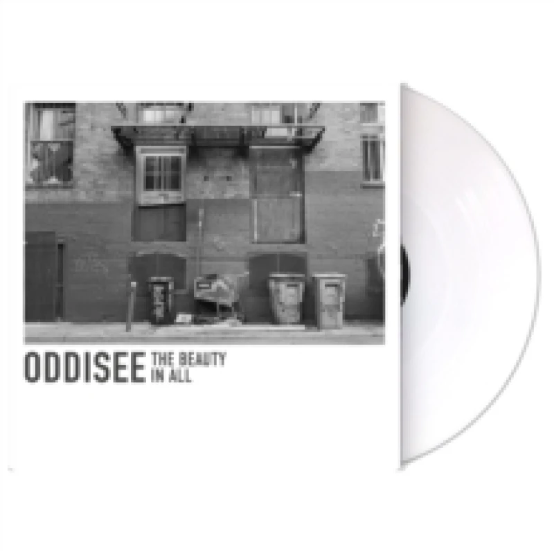 Image of The Beauty in All Vinyl