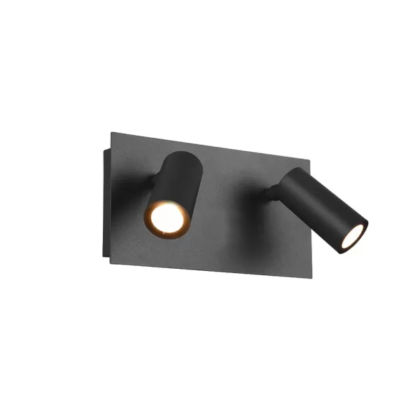 Image of Tunga Modern 2 Light Outdoor Spotlight Anthracite 3000K IP54