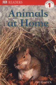 Image of Animals at Home by David Lock Paperback