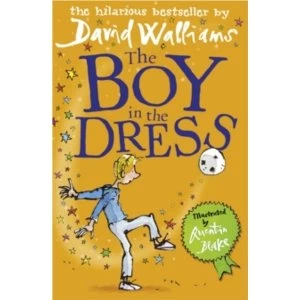 Image of The Boy in the Dress (Paperback, 2009)