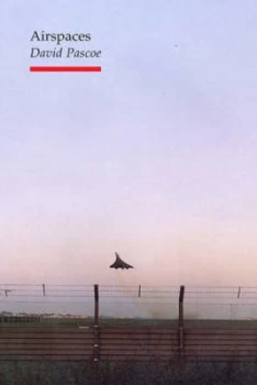 Image of Airspaces by David Pascoe Paperback