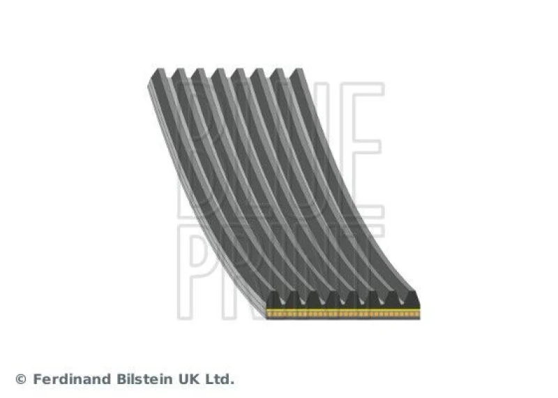 Image of Blue PRINT Serpentine belt Blue PRINT AD08A1055