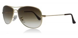 image of Ray-Ban Cockpit Sunglasses Arista / Crystal Brown 001/51 56mm