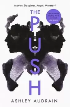 Image of The push by Ashley Audrain
