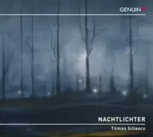 Image of Tilman Sillescu: Nachtlichter