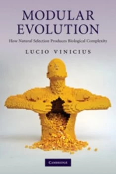 Image of Modular evolution by Lucio Vinicius