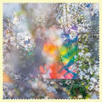 Image of Four Tet - Sixteen Oceans CD