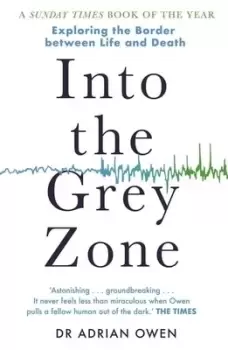 Image of Into the grey zone by Dr Adrian Owen