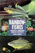 Image of rainbow fishes keeping and breeding them in captivity