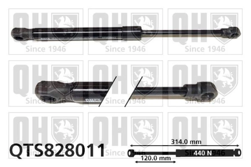 Image of QUINTON HAZELL Bonnet strut QUINTON HAZELL QTS828011