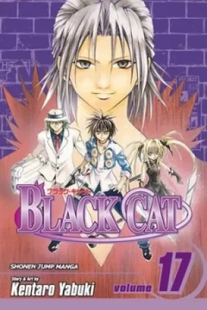 Image of Black Cat Vol 17 by Kentaro Yabuki