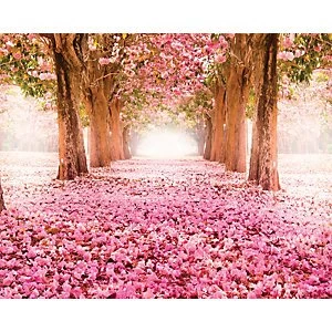 Image of ohpopsi Yonder Wall Mural Multi 19.6m XL
