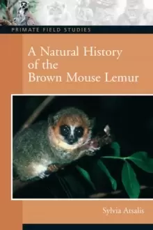 Image of A Natural History of the Brown Mouse Lemur by Sylvia Atsalis