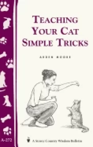 Image of teaching your cat simple tricks storeys country wisdom bulletin a 272