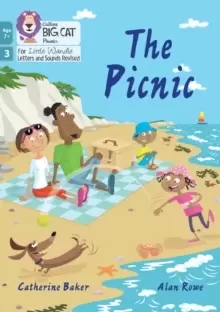 Image of The Picnic : Phase 3 Set 1 Blending Practice