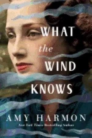 Image of what the wind knows