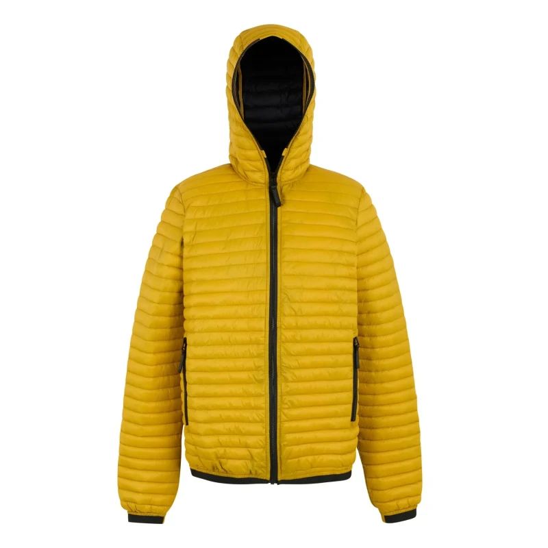 Image of Puffer jacket Regatta Rigain Jaune Male L