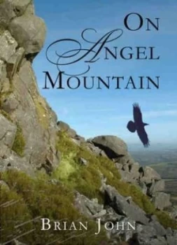 Image of On Angel Mountain by Brian John Book