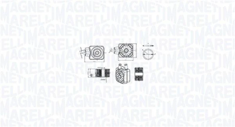 Image of MAGNETI MARELLI Engine oil cooler MAGNETI MARELLI 350300003600