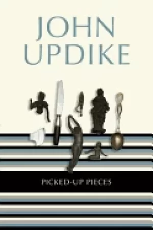 Image of picked up pieces essays